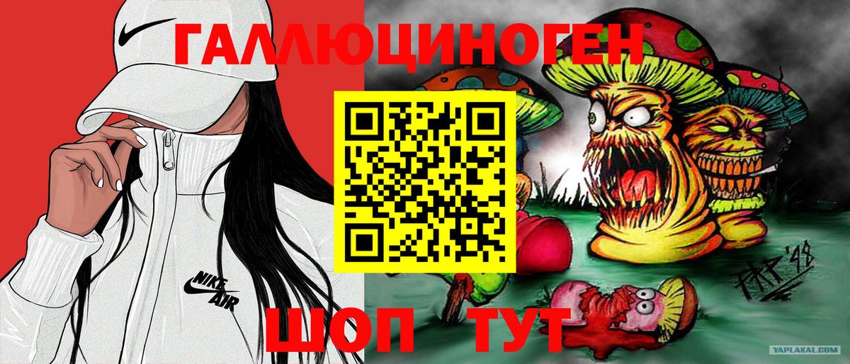 Галлюциногенные грибы Psilocybine cubensis Великий Новгород
